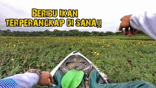 Macam Mana Nak Ke Sana?? Rumput Tebal Sangat!! || OZMY Silencer || Kayak Fishing Malaysia