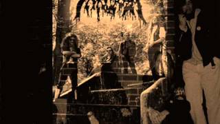 Sarcasm Through Tears Of Gold (HQ)