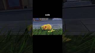 Cute - Pokemon Legends Z-A (Nederland) (Nederlands) Jacques Blogger