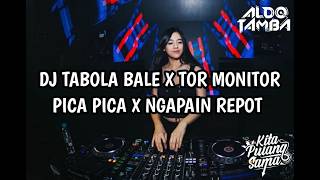 DJ TABOLA BALE X TOR MONITOR X STECU X PICA PICA X NGAPAIN REPOT FULL BASS BREAKBEAT 2026