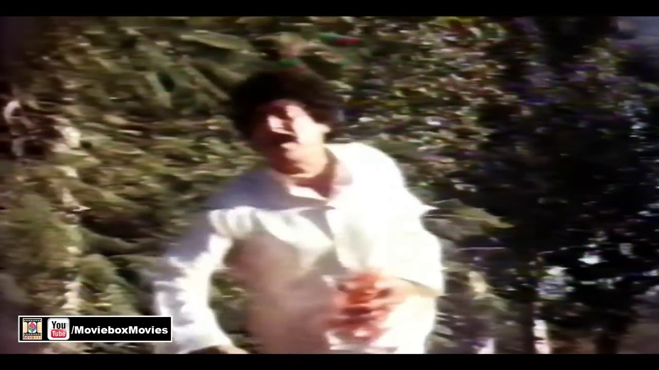 OH PHER BHI PYARE LAGDE NE   NOOR JEHAN   PAKISTANI FILM DHEE RANI