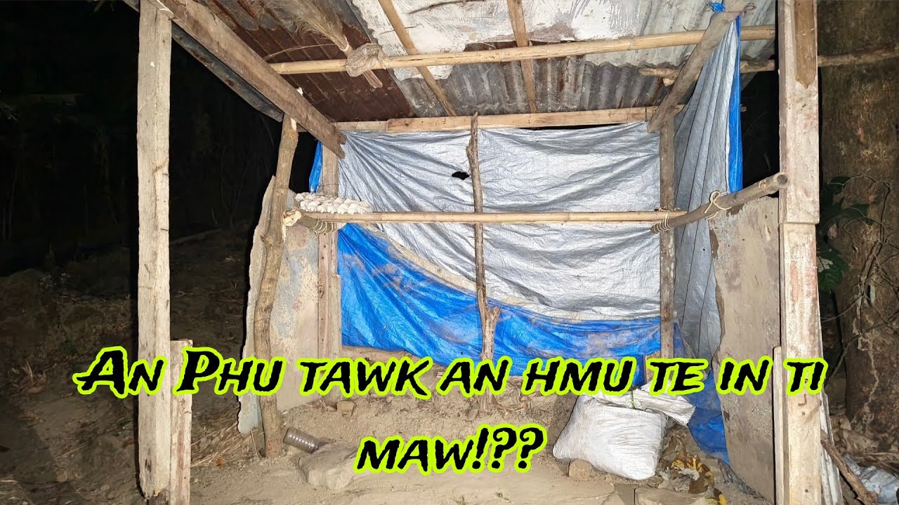 A ruh lang rawt in aw,Vai hovin mizo nula an sawisak dan kha