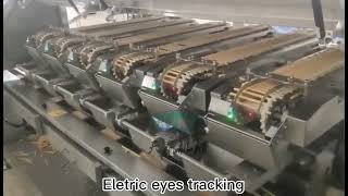 Stick biscuit flow packing machine from Skywin