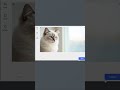 Automate Perfect Image Crops for Your Users with AI 🚀 #coding #extractfiles #AI #WebDevelopment