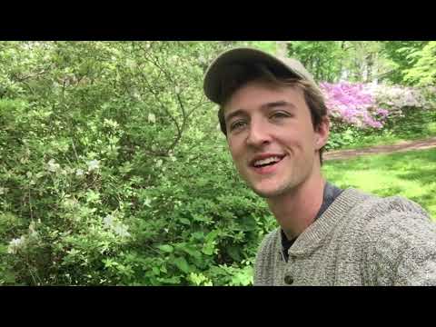 Exploring spring wildflowers at Winterthur