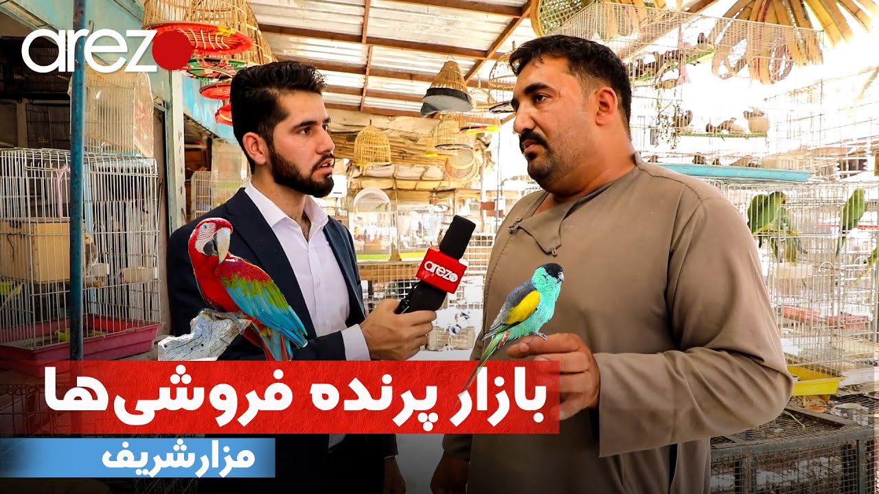 کوچه پرنده فروشی در مزارشریف