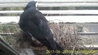 20170929T0800~0830