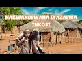 IMFIHLO YOMLANJWANA