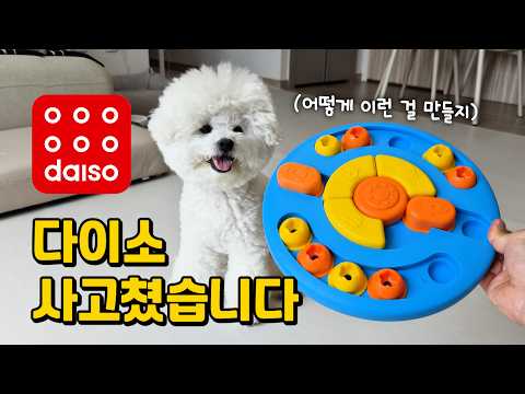 강아지 용품은 이제 다이소에서 사세요 (써보고 감탄한 강아지 꿀템 5가지ㄷㄷ)