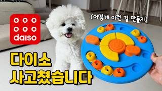 강아지 용품은 이제 다이소에서 사세요 (써보고 감탄한 강아지 꿀템 5가지ㄷㄷ)