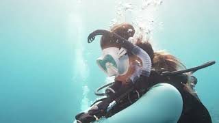 Did You Know As Recreational Scuba Divers We All Take A Safety Stop At 5 Metres For 3 Minutes