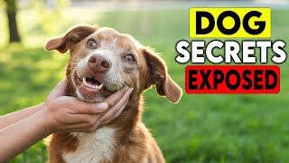 11 Unusual Dog Habits That Reveal Their Real Personality