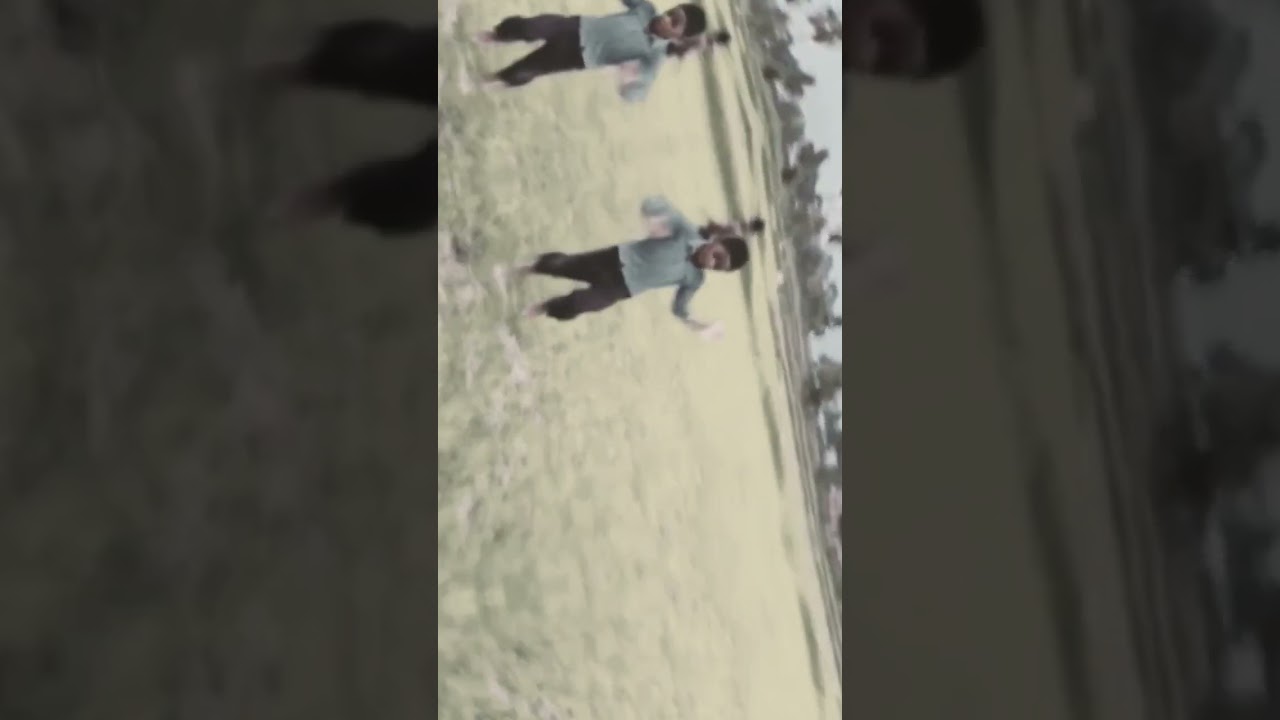 new flip stunt new flip stunt tik tok video