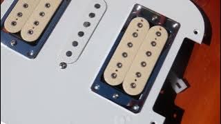 Donlis DH-05 Ivory Humbuckers — Quick Look