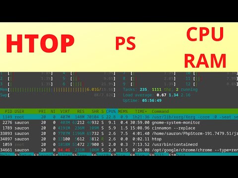 Видео: Как да интерпретираме Htop изхода