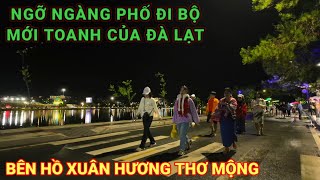 NGỠ NGÀNG PHỐ ĐI BỘ MỚI TOANH CỦA ĐÀ LẠT.