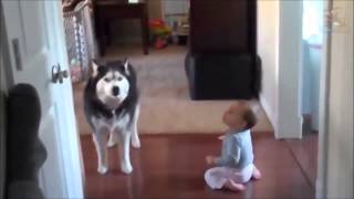 Это видео докажет вам: дети и собаки созданы друг для друга!