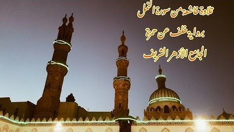 تلاوة آيات سورة النمل #الازهر_الشريف❤️  #تلاوة_هادئة  "برواية خلف عن حمزة" #تلاوة_خاشعة