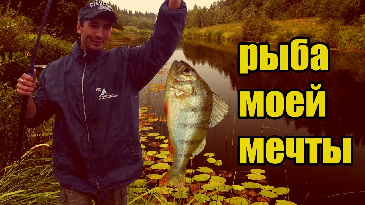 VLOG# УДАЧНАЯ РЫБАЛКА / SERGEY KOGUT - YouTube