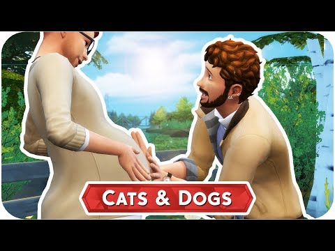 pregnant?!-π±πΆ-the-sims-4-//-cats-and-dogs-β-part-16