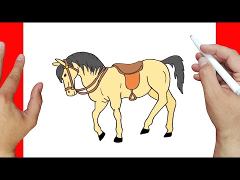 Video: Cómo Dibujar Un Caballo Por Etapas
