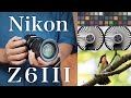 【Nikon Z6III】『高感度耐性』と「ローリングシャッター歪み」を確認してみた｜部分積層型センサー