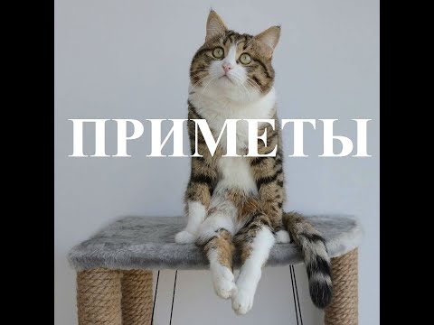 ПРИМЕТЫ и суеверия о том , что нельзя делать в доме / квартире