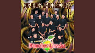 Video thumbnail of "La Arrolladora Banda El Limón de René Camacho - Roman Iriarte"