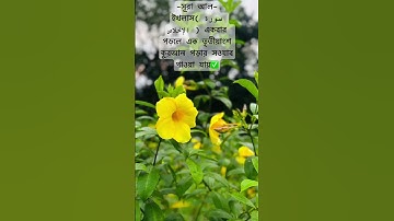 সূরা আল-ইখলাস( سورة الإخلاص )এর ফজিলত ✅🤲 #islamicstatus #viralvideo #foryou #viralreels #oc #waz