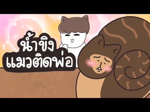 น้ำขิงแมวติดพ่อ