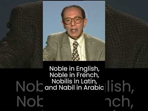    د مصطفي محمود