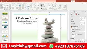 Exp22 PowerPoint Ch04 Cumulative Ecosystem