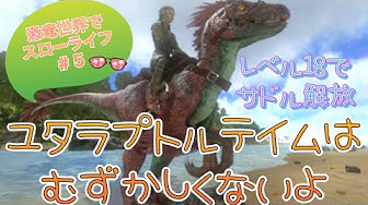 テイム Youtube