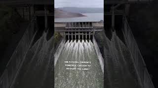 America’s Tallest Dam Nearly Collapsed 😱 | Oroville Dam 2017 Crisis Explained