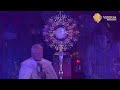 Última Hora Santa 2020 - Acción de gracias - Padre Martín Ávalos y Ministerio Dei Verbum -Fin de año