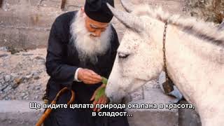 Как да казваме Иисусовата молитва, ст. Ефрем Катунакски