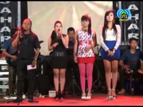 SAHARA Music - PENGANTIN BARU