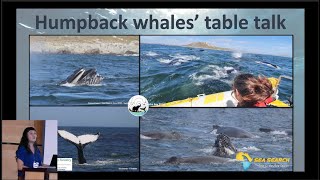 Call production and surfacing behaviour in humpback whales feeding in super-groups - Catherine Nadin