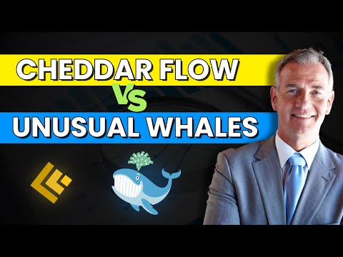 💚Cheddar Flow vs Unusual Whales 🔴 Shocking Results After Testing Both!