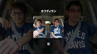 ホフディラン『花』MV いよいよ今月!ホフディラン at コットンクラブ「カルテット × BEST3」チケット発売中!