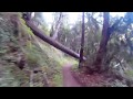 ohlone trail aptos