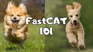 How To Start FastCAT