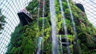 Unlock the power of biophilia  A game changer for the planet and mind