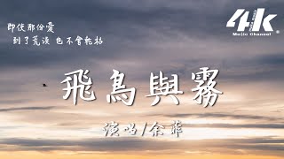 余菲 - 飛鳥與霧『你像隻飛鳥消失在了迷霧，我站在山的那邊等著日出。』【高音質|動態歌詞Lyrics】♫