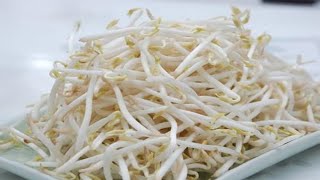 Knowing this secret you will not have to buy bean sprouts again | How to grow white fat bean sprouts