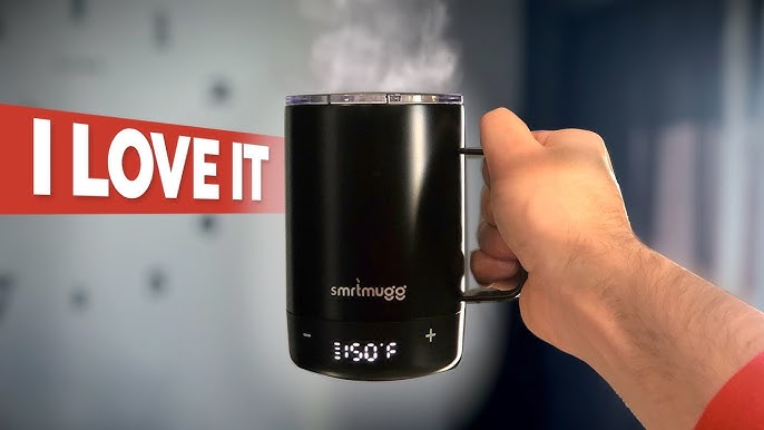 Ion Mug Review  Our Honest Look at This GREAT Gift Idea!