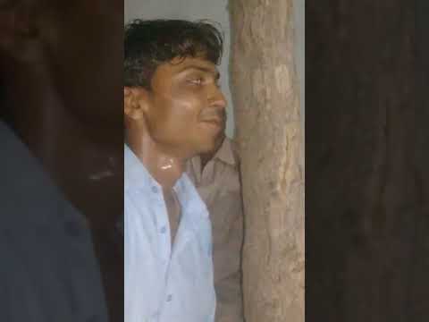 Bhagat Amolakh || Bharam men bholo mat bhaeran