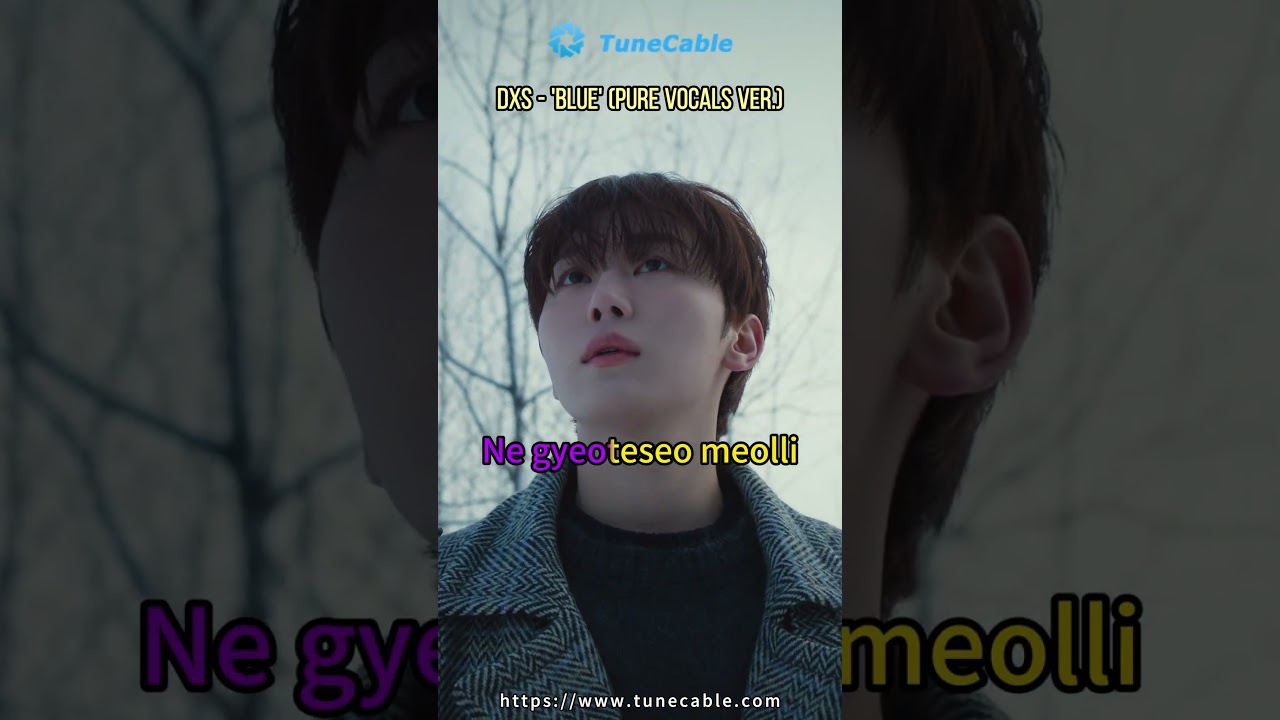 Enjoy DK & Seungkwan's Sweet Voices in 'Blue' (Pure Vocals) 