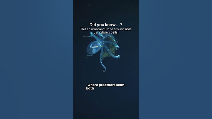 Did you know...? This Animal Can Become Invisible! | Ep. 67 #learnsomethingnew