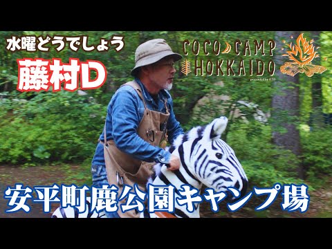 水曜どうでしょう【藤村D】ここキャン北海道2023②安平町篇 ～ここ